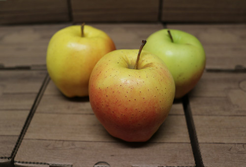 Jablka Golden Delicious - portrét